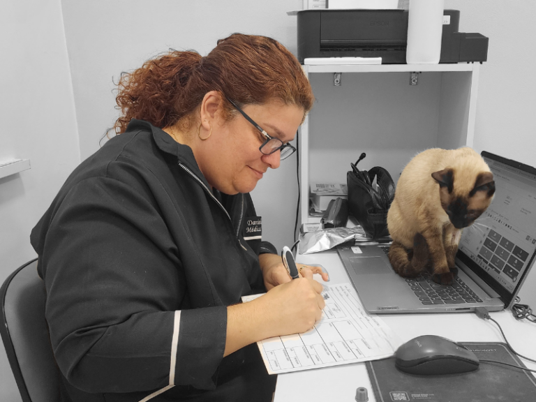 FIV e FeLV: Compreenda e Proteja Seu Gato