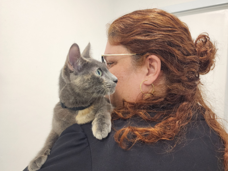 Remoção de Tártaro em Pets: Cuide da Saúde Bucal do Seu Amigo de Quatro Patas