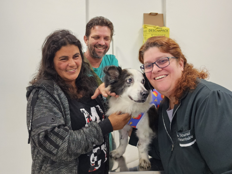 A Importância do Conhecimento Comportamental no Atendimento Veterinário de Cães e Gatos