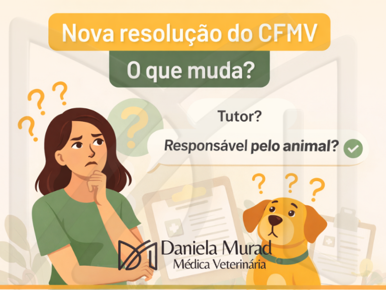 Nova Resolução do CFMV: o que muda para responsáveis e médicos-veterinários?
